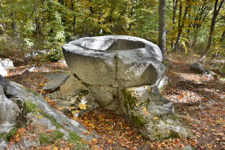 Кутела