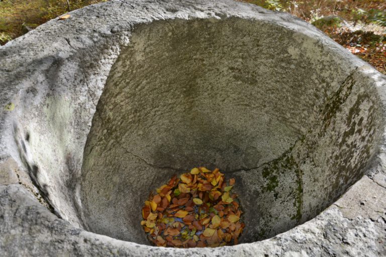 Кутела